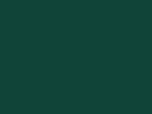 Цвет зелёный-RAL 6005